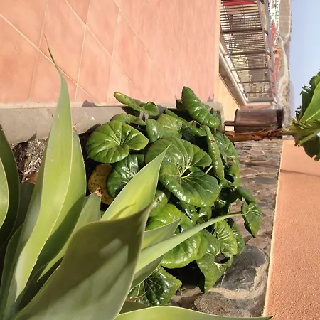 Balcon Del Mar Lejlighedshotel 4*