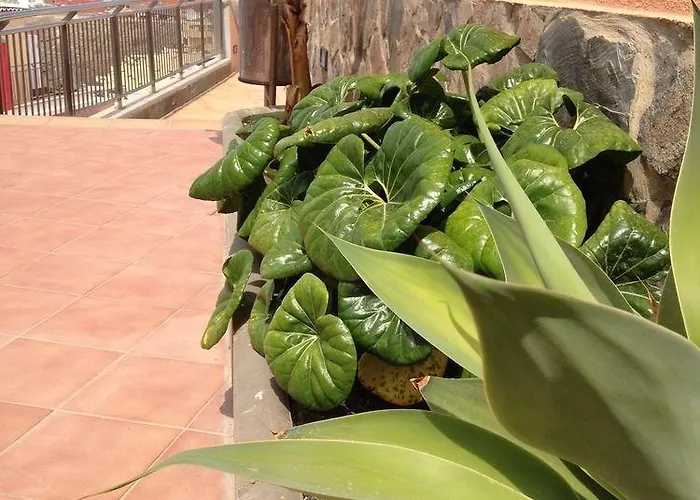 Balcon Del Mar Aparthotel 4*