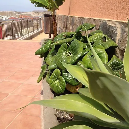 Balcon Del Mar アパートホテル 4*
